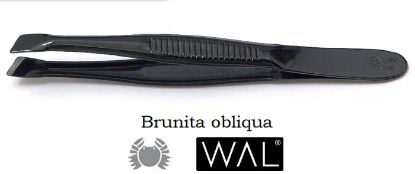 Picture of PINZA PINZETTA BRUNITA 312 OBLIQUA 1pz WAL