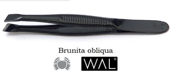 Picture of PINZA PINZETTA BRUNITA 312 OBLIQUA 1pz WAL