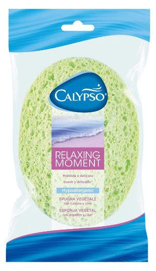 Picture of SPUGNA CALYPSO RELAXING MOMENT 1pz