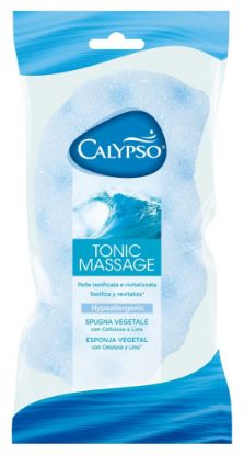 Picture of SPUGNA CALYPSO TONIC MASSAGE 1pz