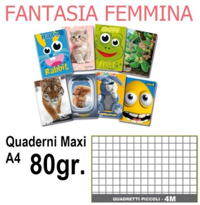 Picture of QUADERNI MAXI FEMMINA 4mm 80gr - 5pz 21x29cm A4 - medie/superiori