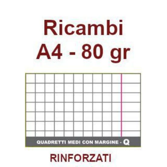 Immagine di RICAMBI A4 80gr RQ RINFORZATI 40f