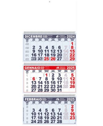 Immagine di CALENDARIO OLANDESE 31x66cm TRITTICO 1pz