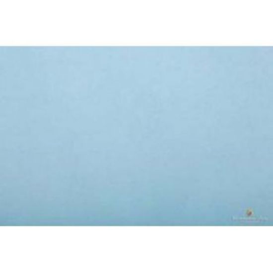 Picture of CARTA VELINA 50x76cm 20g 24 FOGLI AZZURRO CIELO