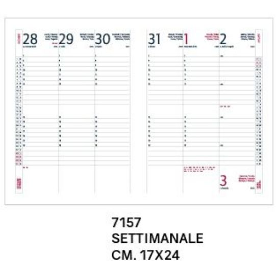 Picture of AGENDA 17X24 SETTIMANALE 7157DE DELTA