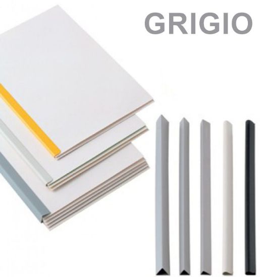 Immagine di DORSI RILEGATURA 29,7 - 17mm 20pz GRIGIO