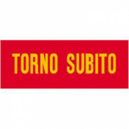 Picture of TARGA TORNO SUBITO 15X4 C/CATENELLA