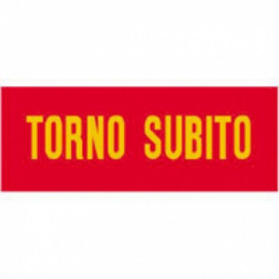 Picture of TARGA TORNO SUBITO 15X4 C/CATENELLA