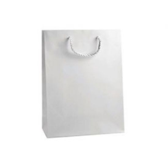 Picture of SACCHETTI SHOPPER RINFORZATA BIANCO 27x12x37cm 12pz CON MANICO CORDA