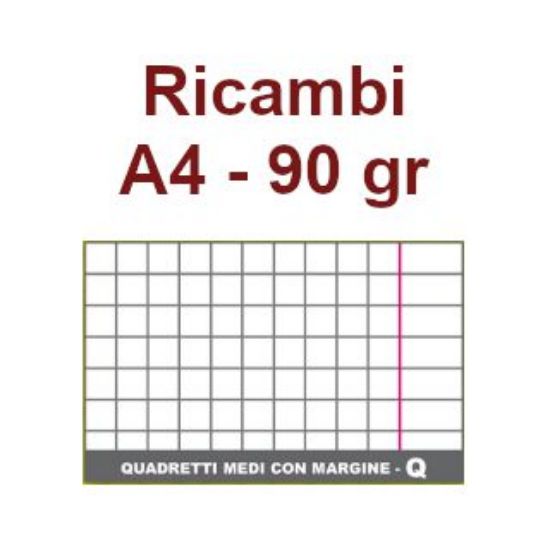 Immagine di RICAMBI A4 90gr RQ