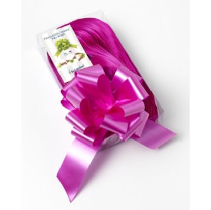 Immagine di COCCARDE STRIP 50mm 30pz FUCSIA