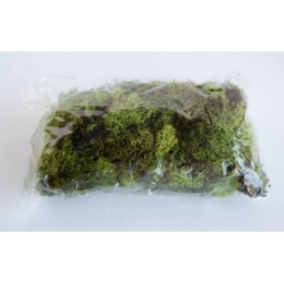 Immagine di PRESEPE LICHENE NATURALE BUSTA DA 100GR VERDE - NATALE