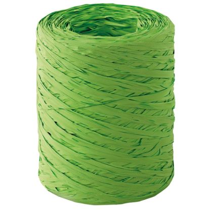 Picture of NASTRI 15mm POLYRAPHIA 200mt 1pz VERDE CHIARO