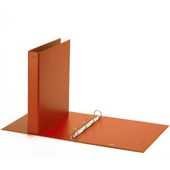 Immagine di RACCOGLITORE ANELLI TU ARANCIO A4 1pz D30 22X30