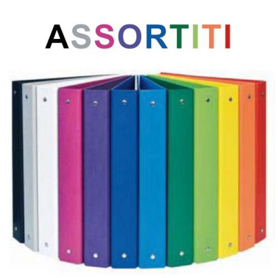 Immagine di RACCOGLITORE ANELLI TU ASSORTITI A4 20pz D30 22X30