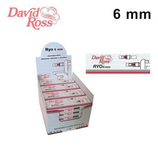 Immagine di BOCCHINI MICRO RYO DAVID ROSS 6mm  24x10pz