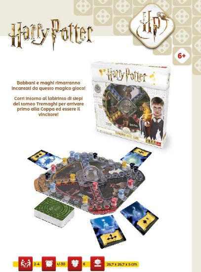 Immagine di GIOCHI SCATOLA HARRY POTTER TRIWIZARD MAZE 1pz