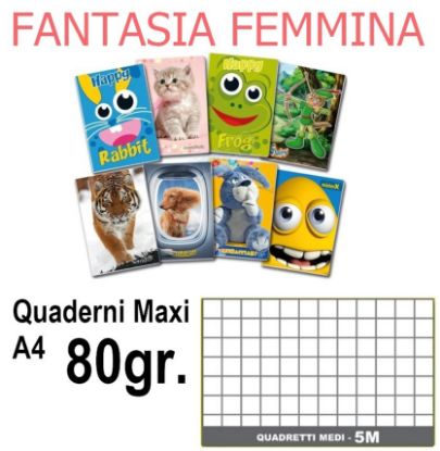 Picture of QUADERNI MAXI FEMMINA 5mm 80gr - 5pz 21x29cm A4 - elementari/medie