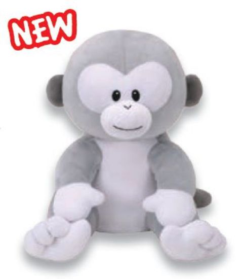 Picture of PELUCHES BEANIE BABY 28cm - 1pz POOKIE