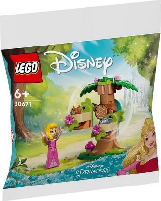 Immagine di LEGO DISNEY IL PARCO GIOCHI NEL BOSCO DI AURORA