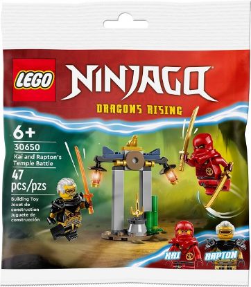 Immagine di LEGO NINJAGO BATTAGLIA NEL TEMPIO DI KAI E RAPTON