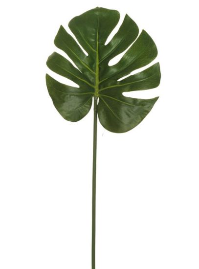 Immagine di FIORE FOGLIA FILODENDRO  H80cm VERDE 80-360274