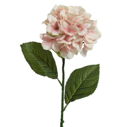 Picture of FIORE ORTENSIA ROSA  CHIARO H66cm