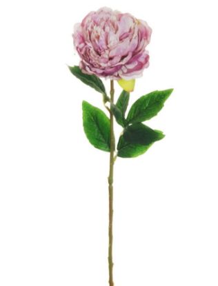 Picture of FIORE PEONIA H67cm  LILLA 80-374202