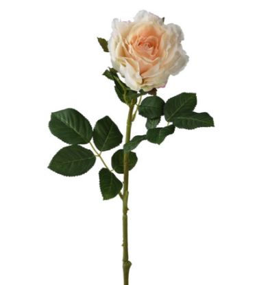 Immagine di FIORE ROSA FIORE H71cm PESCA