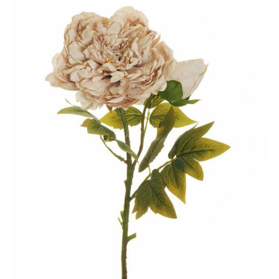 Picture of FIORE PICK H58cm PEONIA CREMA  AUTUNNO 80-419576