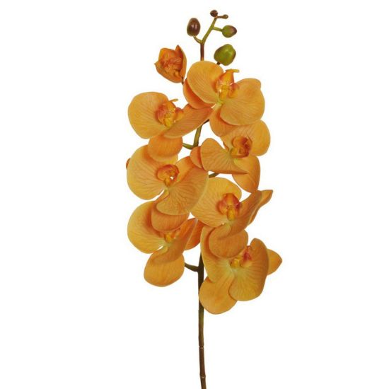 Picture of FIORE PICK H102cm ORCHIDEA 6 BOCCIOLI MOSTARDA 80-349163