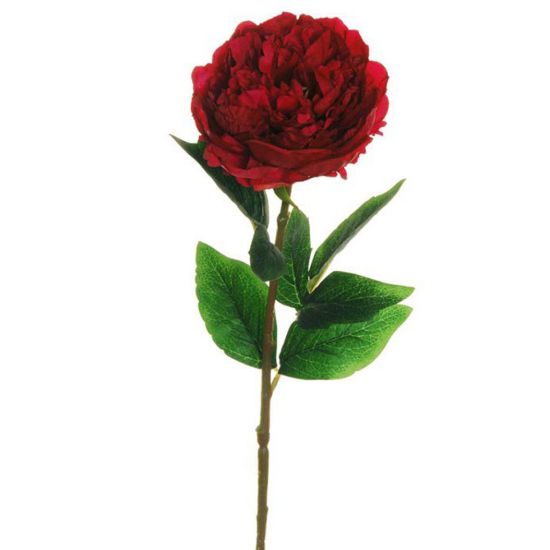 Immagine di FIORE PICK H67cm PEONIA ROSSA  80-374219