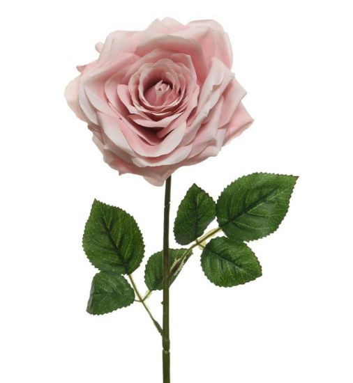 Picture of FIORE ROSA L53cm ROSA