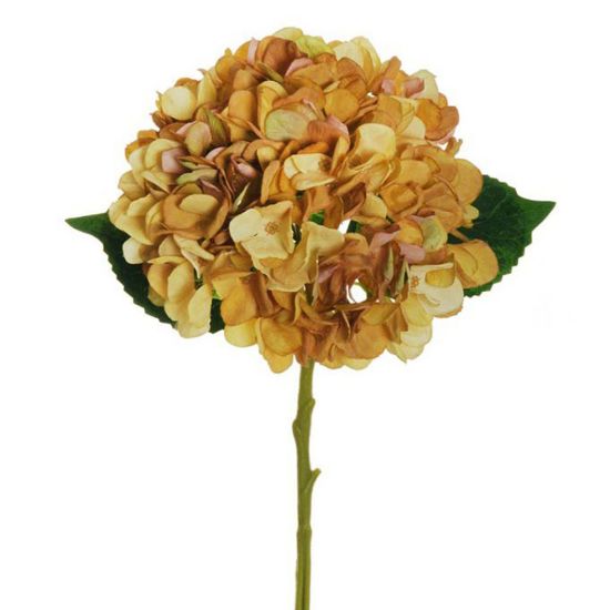 Picture of FIORE PICK H50cm ORTENSIA GIALLO AUTUNNO 80-376718