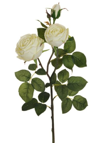 Immagine di FIORE ROSA REALE H76cm RAMO CREMA 80-322791