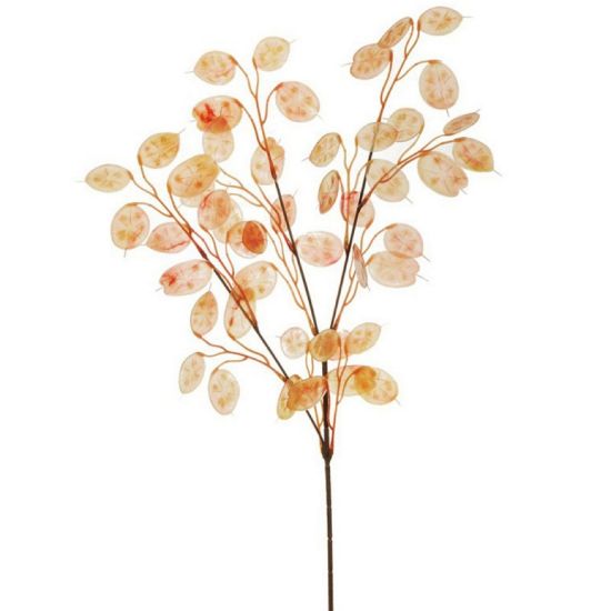 Picture of FIORE RAMO 48 FIORE LUNARIA H75cm ARANCIONE