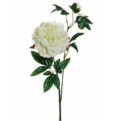 Picture of FIORE PEONIA H69cm BIANCO