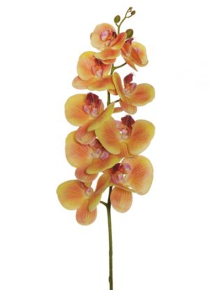 Picture of FIORE ORCHIDEA RAMO H105cm ARANCIO