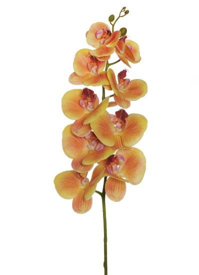 Picture of FIORE ORCHIDEA RAMO H105cm ARANCIO