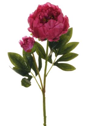 Picture of FIORE PEONIA RAMO H66cm  FUCSIA