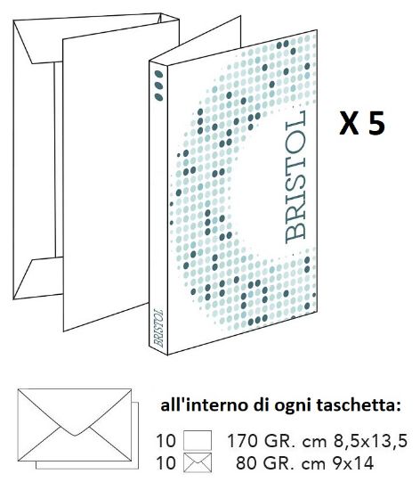 Immagine di BIGLIETTI BRISTOL DA VISITA 90x140mm 5pz 10 BUSTA + 10 FOGLI